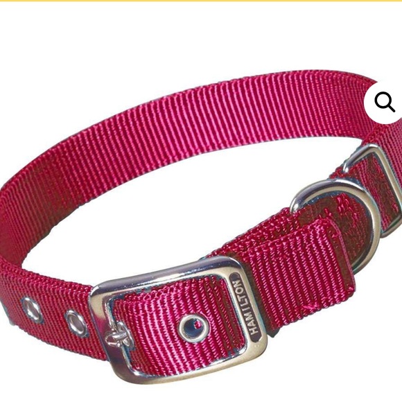 Collar & Lead set- Raspberry- 1” NWT